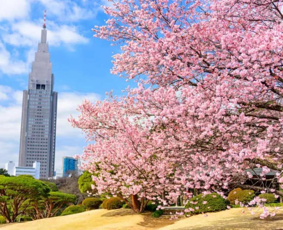 43新宿商圈 新宿御苑旁-shinjuku Area Near Park Lägenhet